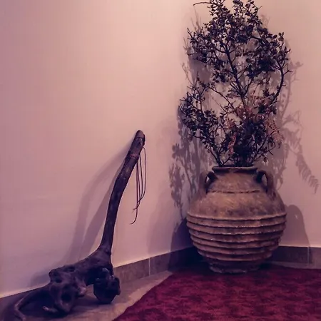 Sinoi Konukevi Vytina